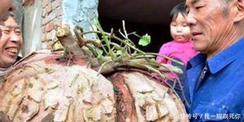 没人敢买|大爷挖的红薯太大了,没人敢买,于是他拿来这么做了
