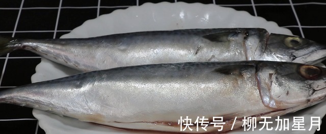 鲅鱼好吃有诀窍,看看五星大厨特色做法,骨酥肉烂,实在太香了!