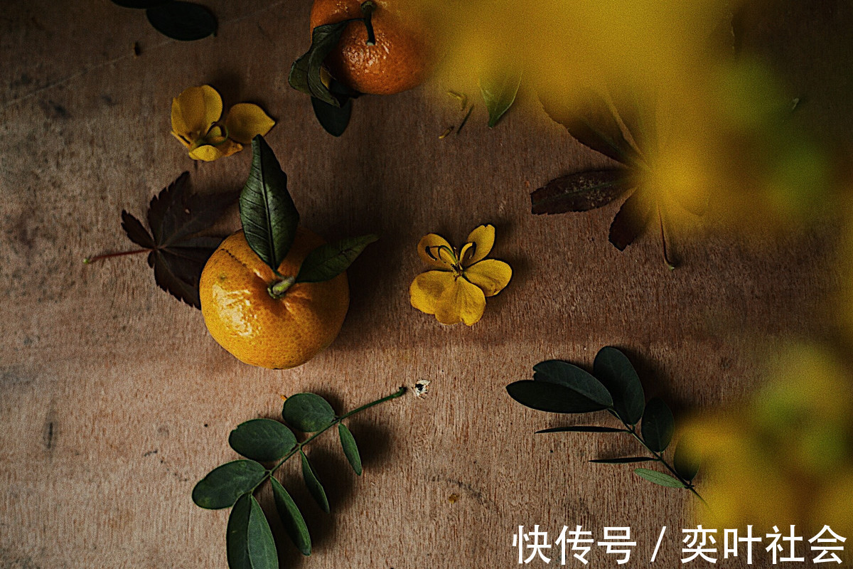 枕边|“说话算话”的三生肖,坚定不移爱老婆,女人可以很放心