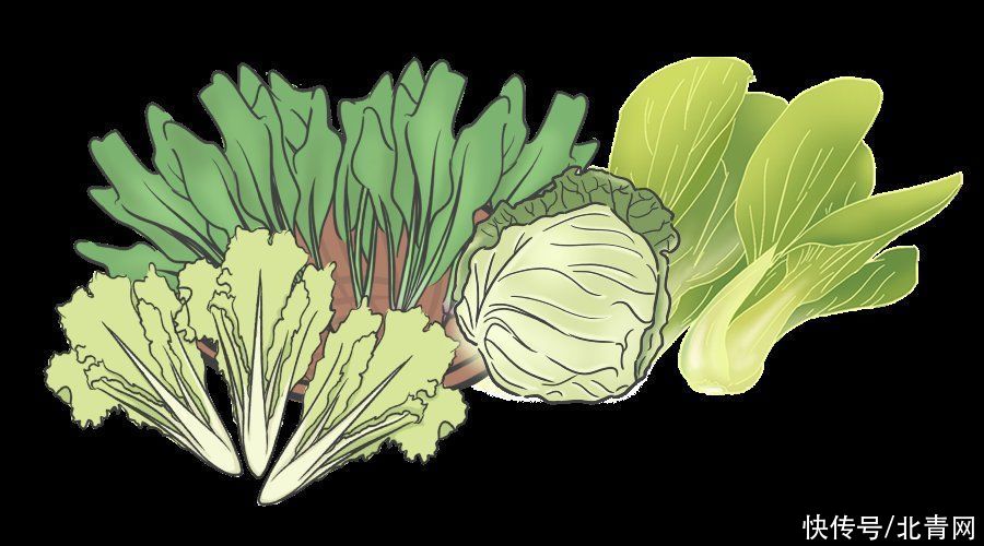 肌少症|腿粗点是好事？！趁年轻多囤点这种肉肉吧