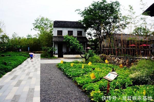 绣球花|乡村庭院设计，如果农村有房，干嘛住城里，建个这样的院子美翻了