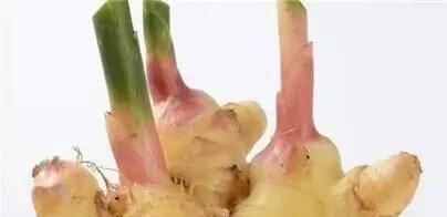 白养|皮肤差要吃，脸色黄要吃，美白养颜更要吃