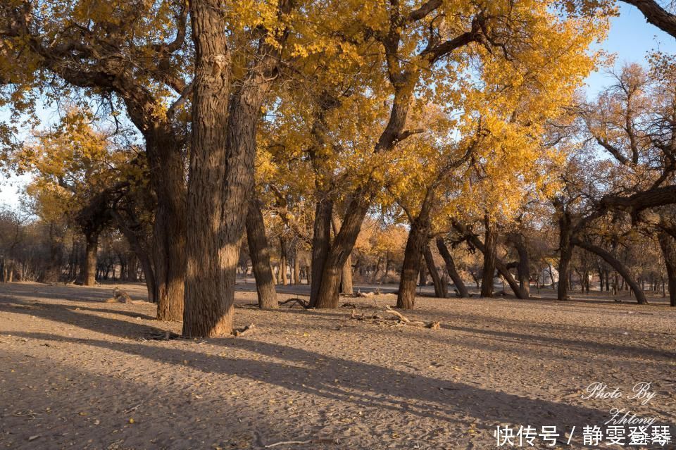 电影《英雄》取景地--内蒙额济纳，记录炫丽迷人的七彩丹霞地貌