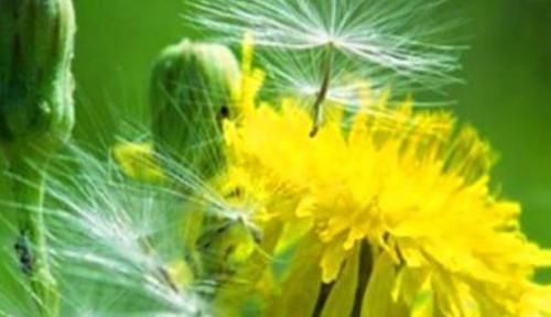 养颜|中年人推荐多吃3种食物，排毒养颜、滋润肌肤，身体棒棒哒！