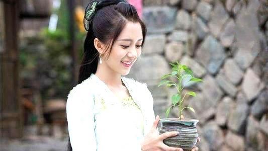 沈锦|汤敏新作《将军家的小娘子》，沈锦深爱将军，楚修明却休了她