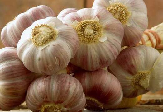 发芽|吃不完的大蒜难保存?教你一个简单实用小窍门,放到过年也不发芽