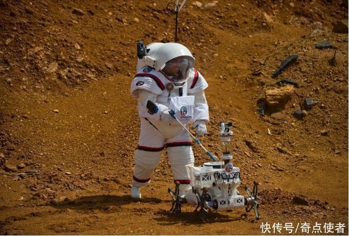 人类|未来机器人会取代人类吗?马斯克推出人形机器,家务工作无所不能