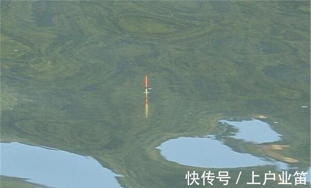 冬季钓鲫鱼,饵料轻而且小,调漂有这3种方法,中鱼率全都非常高