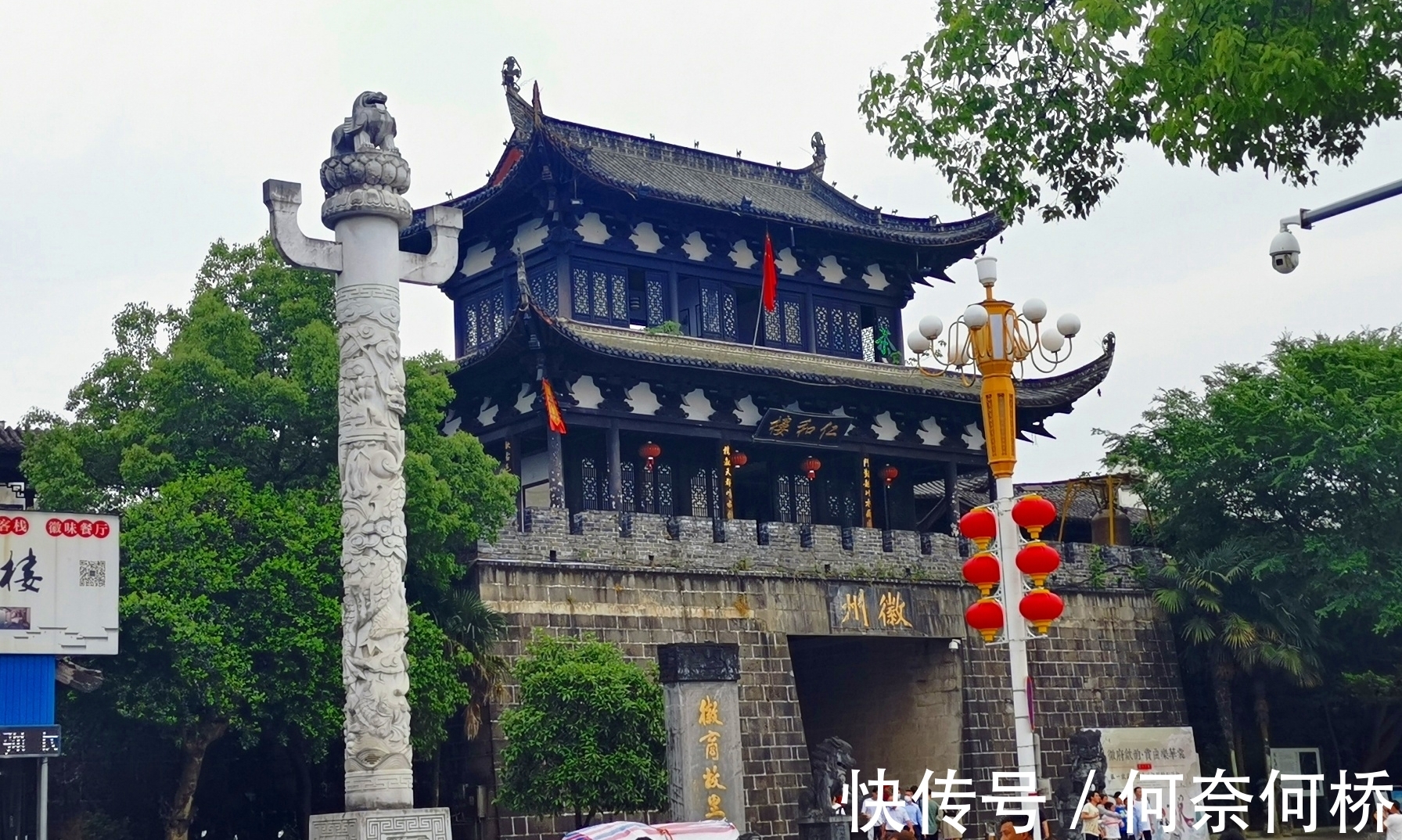 “铁树开花水倒流”,歙县徽园一株铁树开出罕见“牡丹状”粉色花