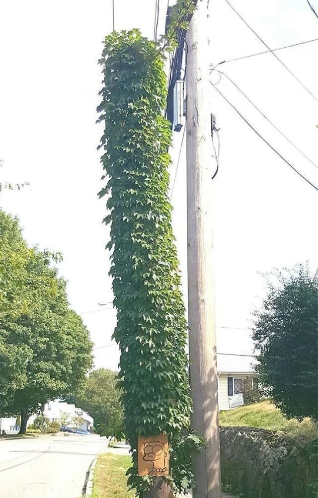 停车场#22个搞笑创意,让你不由地感叹,这些人真无聊,不过我喜欢?