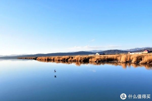 云南|阳澄湖的大闸蟹虽美，但新疆、青海、云南……的也不赖（确定没有打错地名）