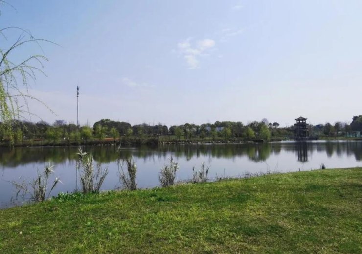 搜狐焦点|用这些公式算出的“六边形”楼盘,该出手时就出手!