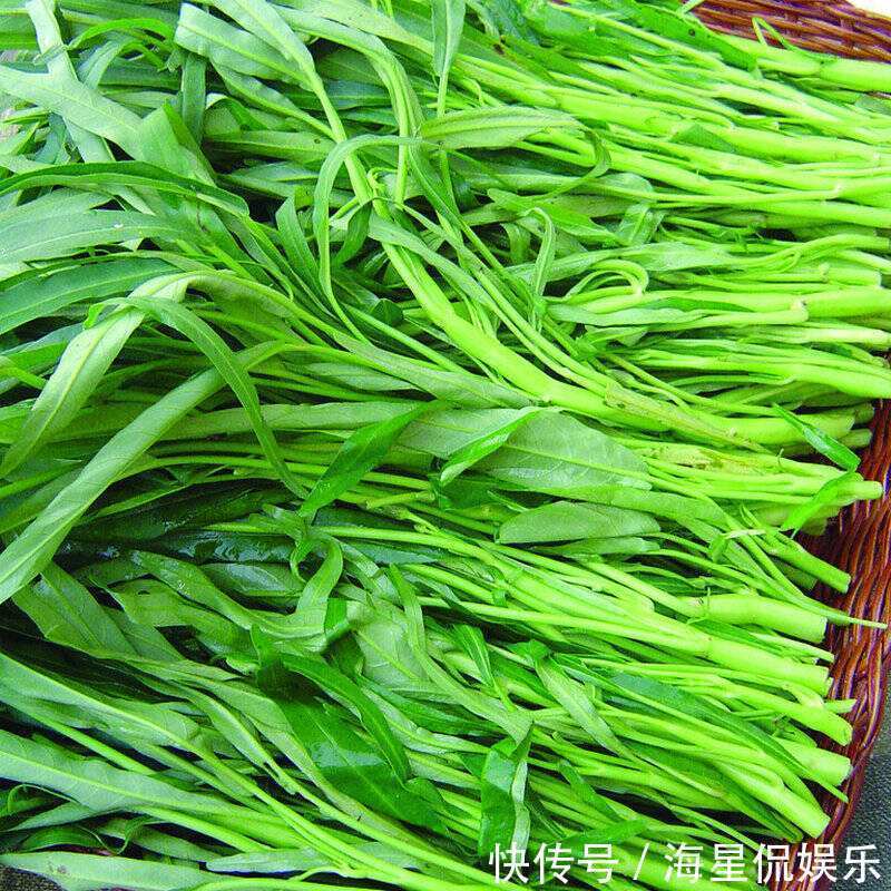 白果|想长寿要会吃,三种食物不可少,养胃健脾,增强免疫力,早吃早好