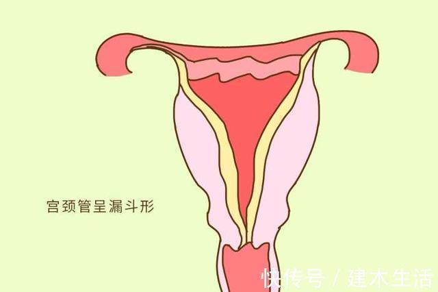 临产|怀孕后，发现以下部位渐渐消失，恭喜你，要卸货了