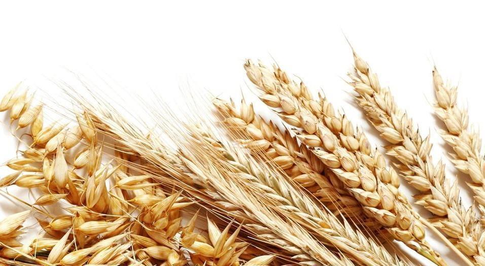 抗性淀粉|为什么一直减肥却总不掉称？想要有效减肥，掌握方法很关键！