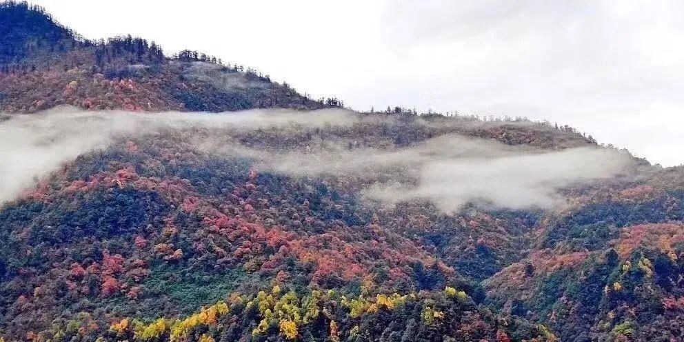 洪雅|一城山水，几番韵味，这是属于洪雅的养心之地