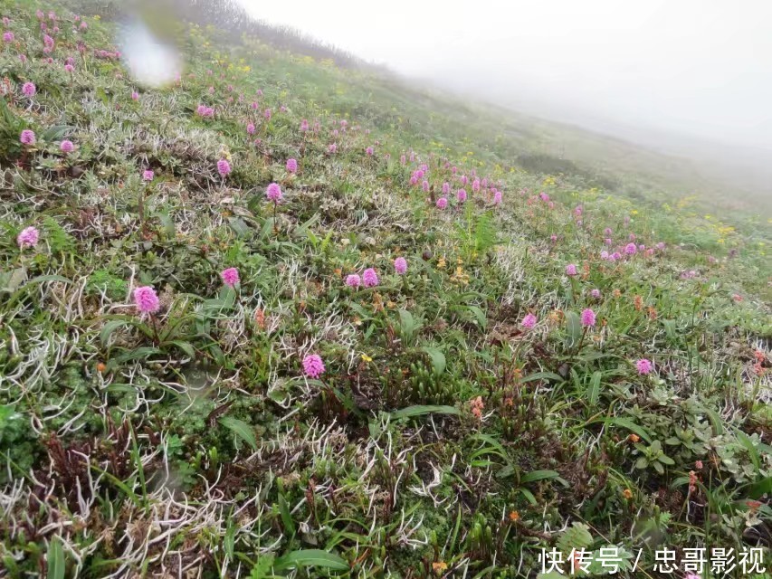 翻山越岭，只为寻找不一样的美，