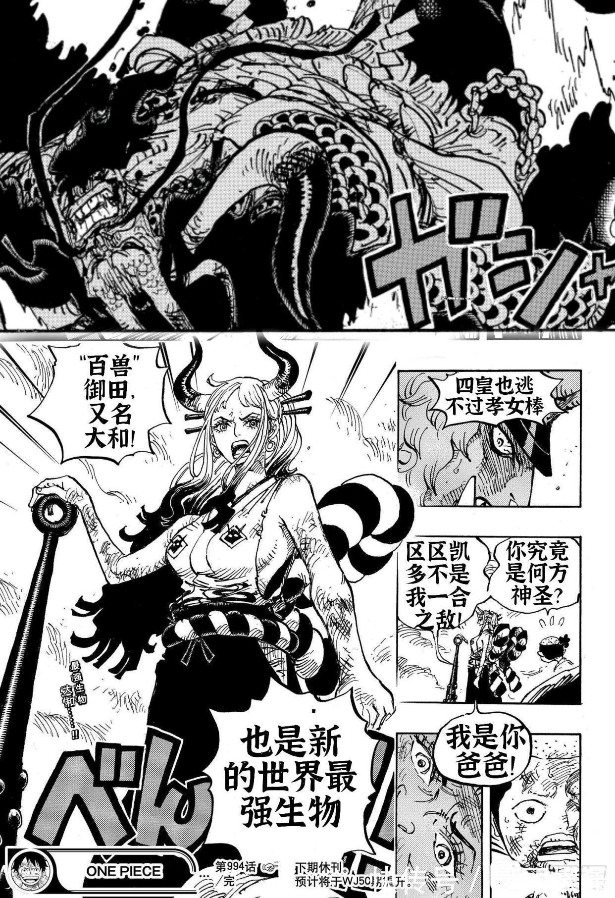 海贼王|海贼王1019话同人:凯多惨遭部下叛变,大和灭亲,击败自己的父亲