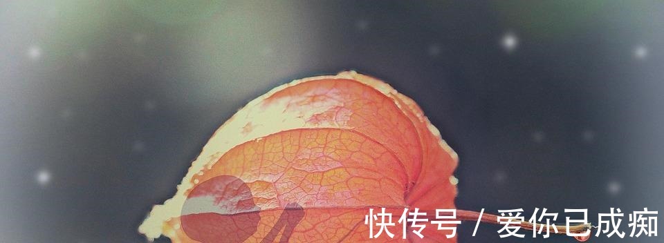 小罗|怀孕6个月后, 孕妈要坚持做好4件事, 以防胎儿受伤!