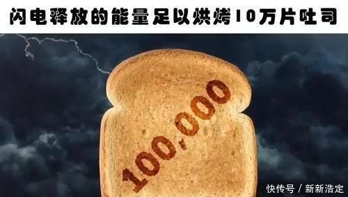 蓝鲸 你肯定没有听过的10个冷知识与现实生活息息相关