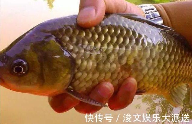 一辈子|钓鱼悟到的几个道理，如果没钓鱼，或许一辈子都不能明白