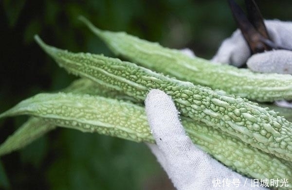 苦瓜菜|肝不好，人易老？晨起吃3物，有助养肝护肝，适合养生