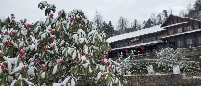 情怀|只下了一场雪，峨眉山又多了这些名场面