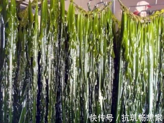 香烟的“克星”来了,戒不了烟常吃点,清肺排毒,肺病去无踪