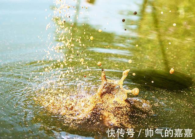 别怪我说你,这5种行为,对钓到鱼帮助不大,反而会影响渔获