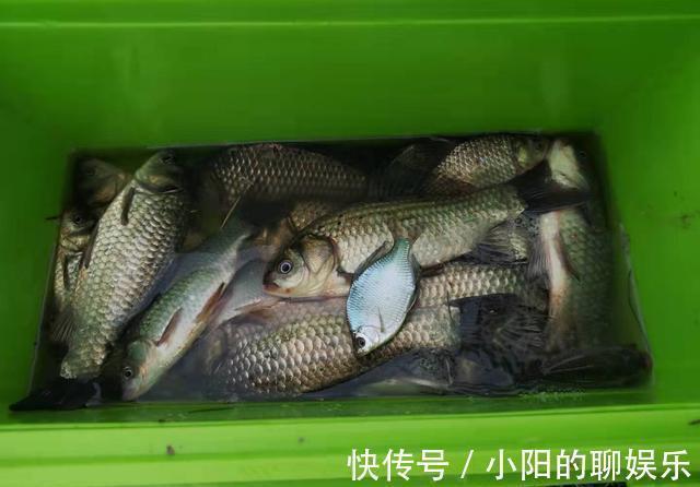 蓑笠哥|冬天找钓位三原则,符合就是鱼儿越冬之地