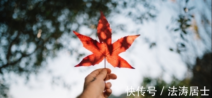 咸鱼翻身|11月上旬，运势逆风翻盘，事业突飞猛进，摇身成为大金主的四星座