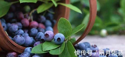 尿酸|3种“排酸高手”出现,家中常备,尿酸正常,痛风不敢靠近