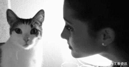 蛋糕|当蛋糕遇到二次元“汪叽”都被羡羡迷晕,艾莎公主更是可爱到爆