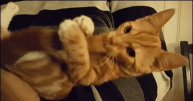 |搞笑GIF:隔壁老王家的女儿,从小就输在了起跑线上