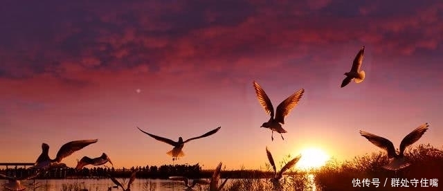 间接|狠毒的吕后，如何间接害死自己的儿子汉惠帝？