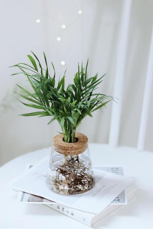 卫生间细菌多？空气质量不好？这8种盆栽养一盆试试！