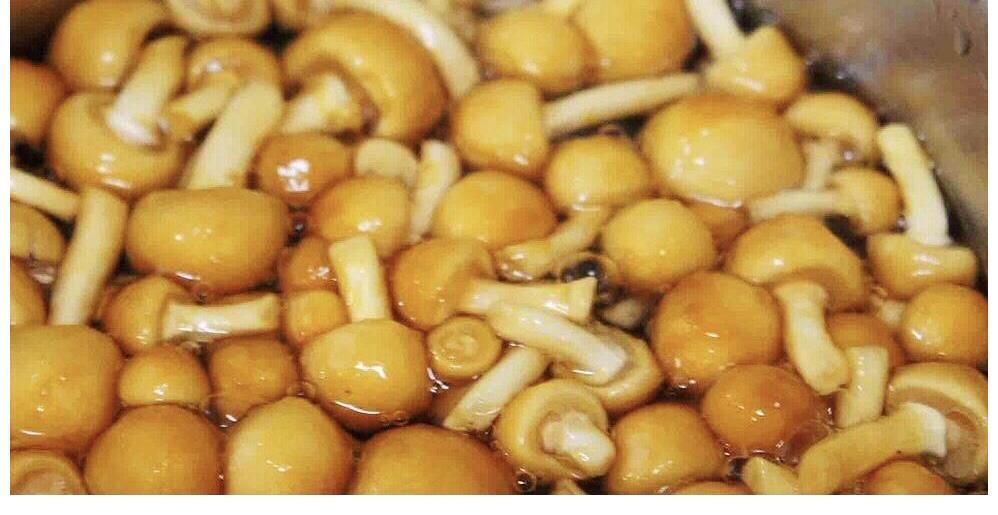 7月这碱性蔬菜正当季，口感滑嫩，营养全能，非大棚，懂行的常吃