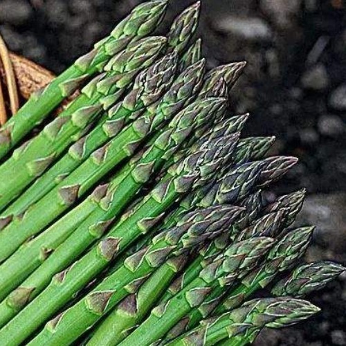 怀孕期间|这些食物是天然的叶酸片,孕妈经常吃,长胎不长肉,宝宝更聪明