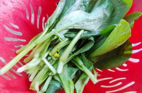 天热可多吃的青菜，比黄瓜鲜比丝瓜嫩，一斤2块钱，错过可惜了