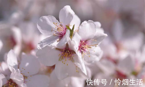 曲江春#刘禹锡的诗一向振奋人心,只有这首不一样,从开篇到结尾句句伤感