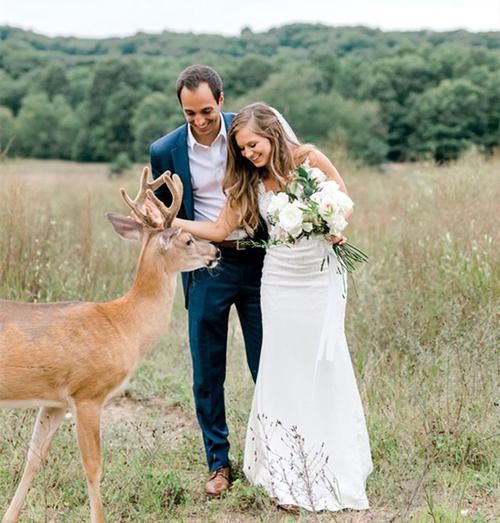 小鹿闯入婚纱照拍摄现场，抢夺新娘手中玫瑰，多么美妙的惊喜！