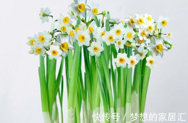 用花盆养花，有这几种情况，就及时给它换盆换土