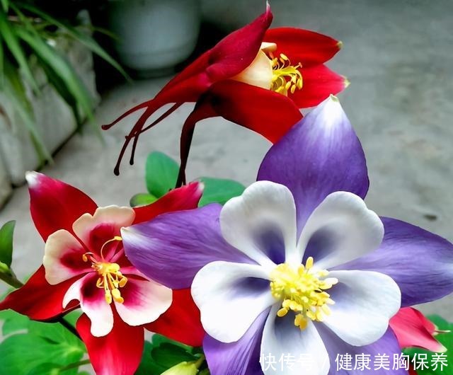 古代对月份的称呼花名 古代对月份的称呼花名