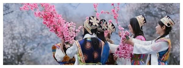 周捷|成也综艺，败也综艺，刘涛这次被骂一点也不冤！