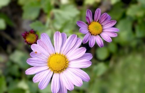 身高|关于男生的身高问题,大家一起来来讨论下!