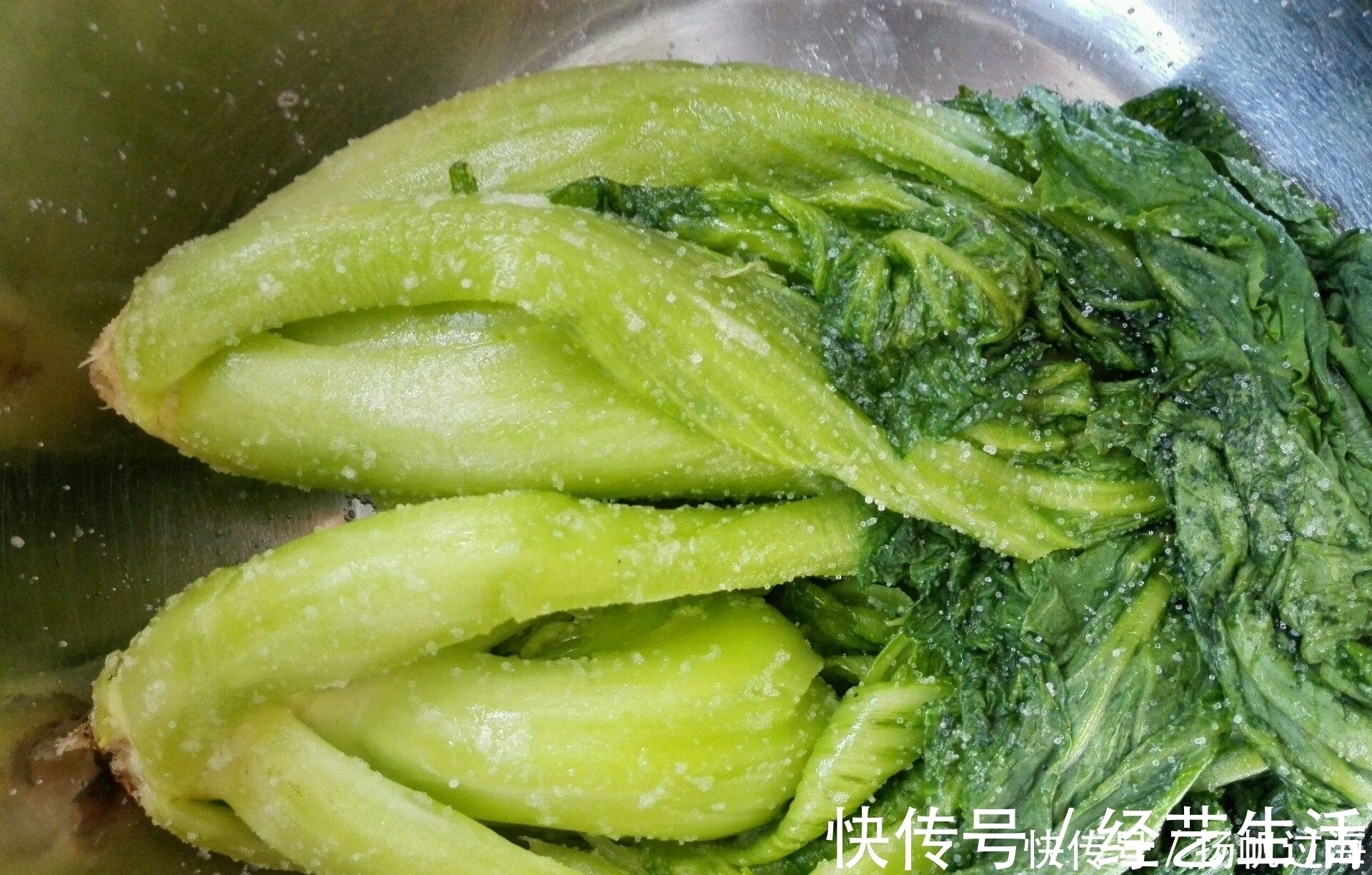 坏处|经常吃“酸菜”真的对身体有“坏处”吗？营养师说出了真实答案！