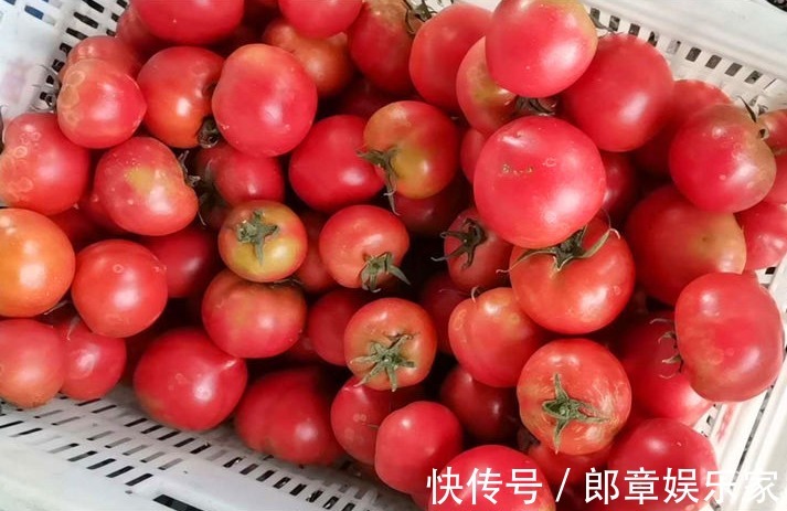 多汁|买西红柿别只会看颜色,牢记4个妙招,西红柿鲜甜多汁,做菜好吃