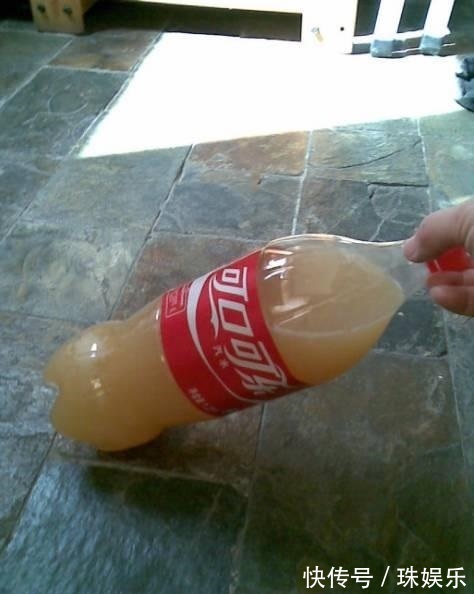 他养花“自制”有机肥,1月只浇“2瓶盖”,效果惊人,花肥不用买