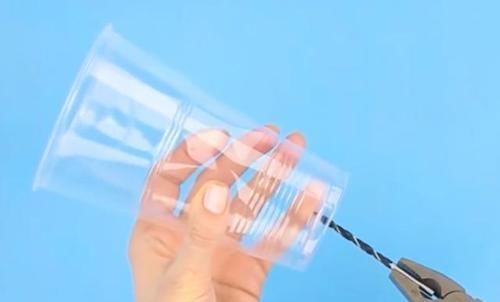 光照|塑料杯子没用？给多肉植物扣一个，叶子马上变圆润又水灵