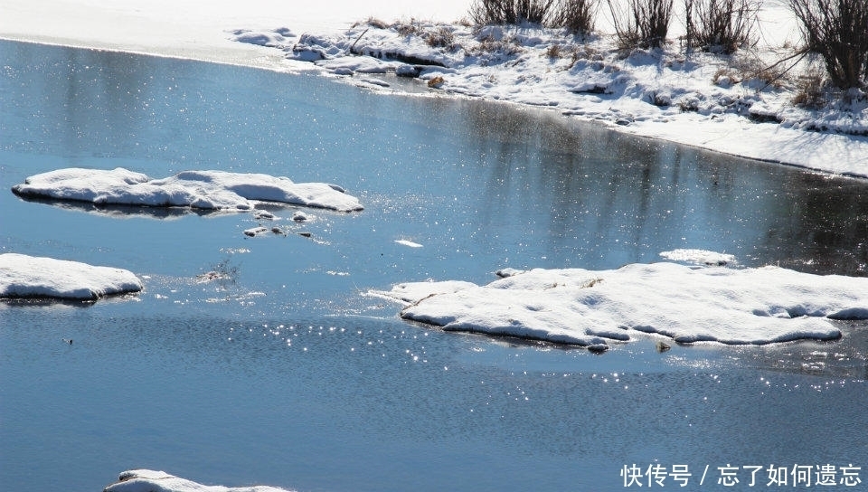 谷雨时节请到塔河来看雪